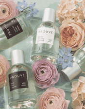 Prouvé – prancūziška prabanga kvepalų ir namų priežiūros pasaulyje
