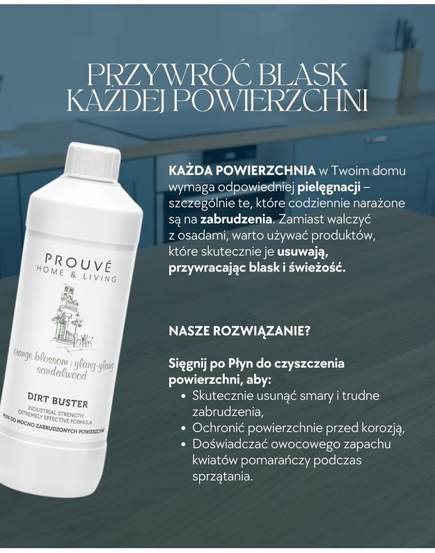 Labai užterštų paviršių valiklis Dirt Buster  2