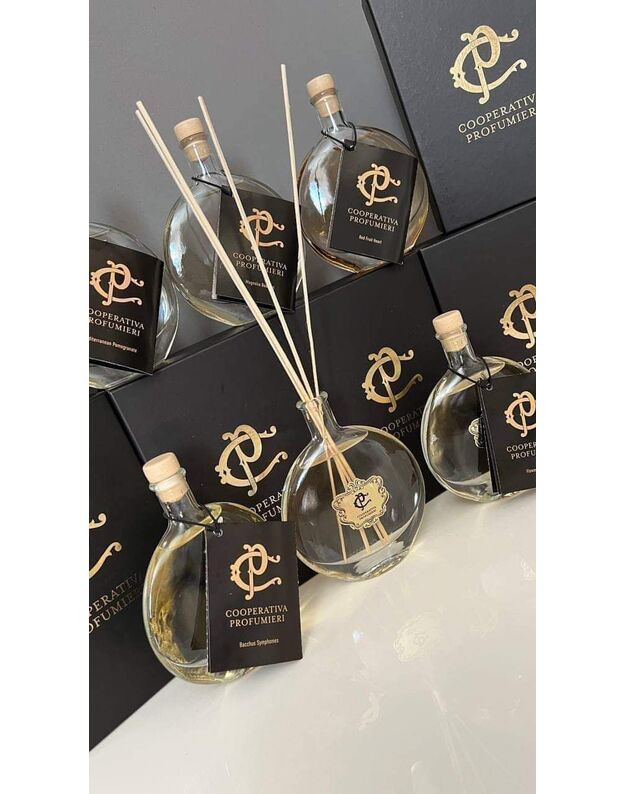 Chogan Cooperativa Profumieri namų kvapas su lazdelėmis Flower Garden 100 ml