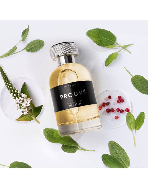 Prouve vyriški kvepalai Spicy Wild įkvėpti Stronger with you Armani 