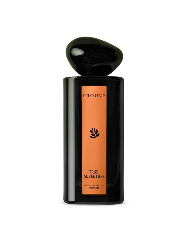 Prouve vyriški kvepalai 100 ml True Adventure įkvėpti Tom Ford For Men