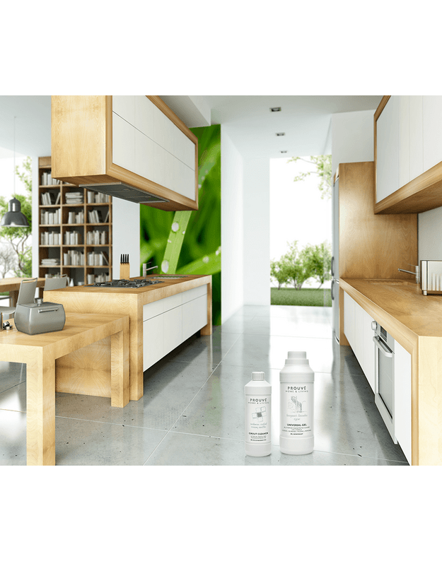Medinių ir laminuotų grindų valiklis Prouve 1